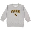 Wyoming Cowboys Toddler Traditional Crewneck – Grey