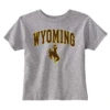 Wyoming Cowboys Toddler Traditional Tee – Grey