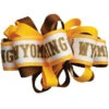 Wyoming Cowboys Loop Hair Bow