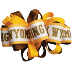 Wyoming Cowboys Loop Hair Bow
