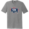 Wyoming State Flag Buffalo Tee – Grey Frost