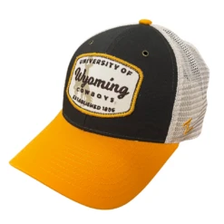 Wyoming Cowboys Calling Card Adjustable Hat – Gray/Stone/Gold
