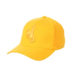 Wyoming Cowboys Tonal Flexfit Hat – Gold